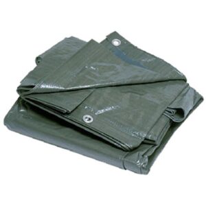 TOLDO MULTIUSO 4X6M VERDE 115G/M2 IRONSIDE